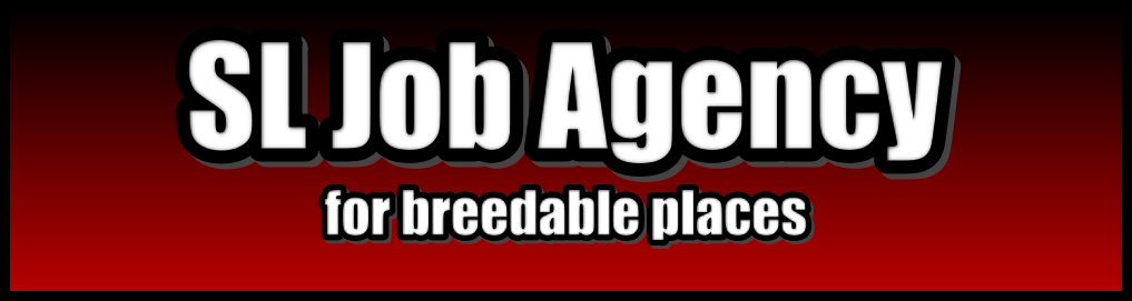 Job Agency Banner